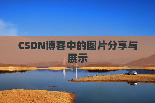 CSDN博客中的图片分享与展示